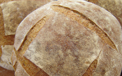 pain de campagne